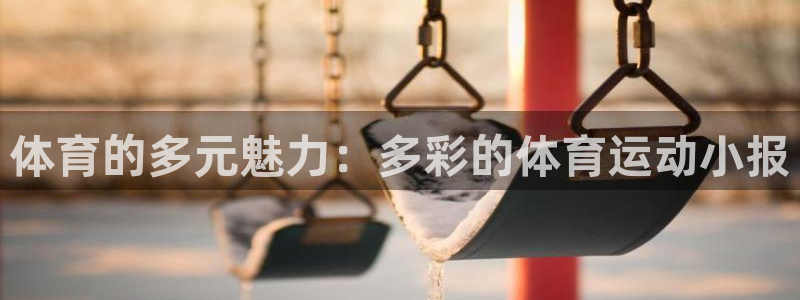 77体育：体育的多元魅力：多彩的体育运动小报