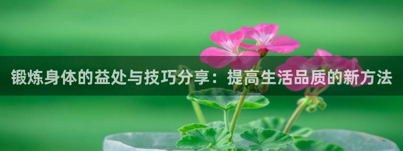 77体育：锻炼身体的益处与技巧分享：提高生活品质的新方法