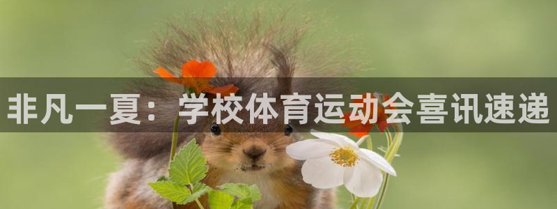 77体育app下载官网：非凡一夏：学校体育运动会喜讯速递