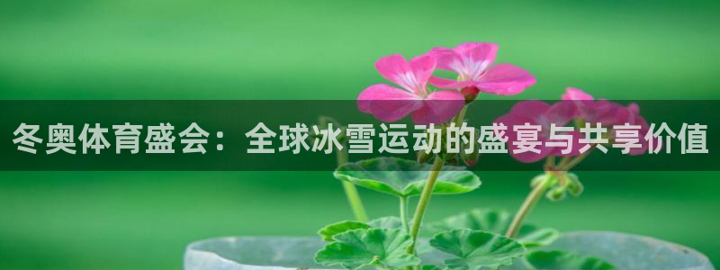 皇冠277体育：冬奥体育盛会：全球冰雪运动的盛宴与共享价值