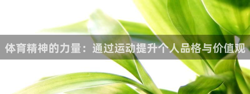 77体育官网：体育精神的力量：通过运动提升个人品格与价值观