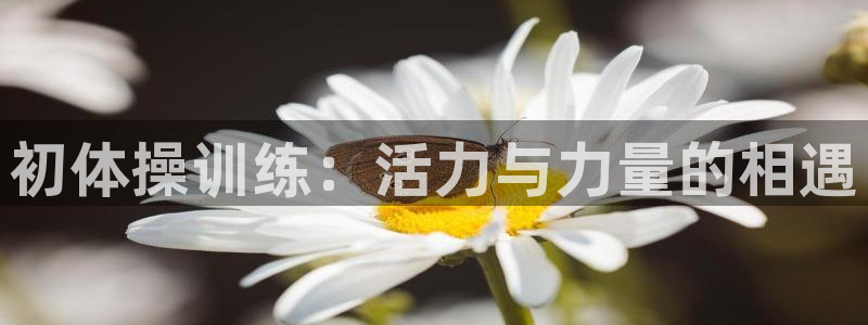 皇冠277体育：初体操训练：活力与力量的相遇