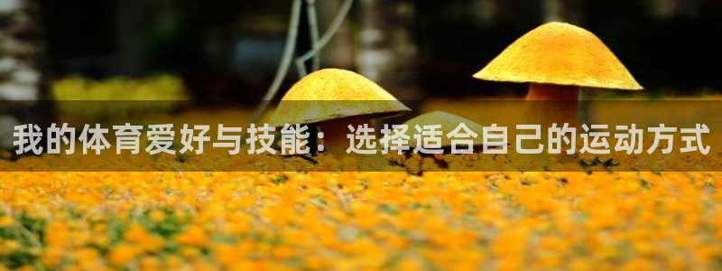 77体育官网：我的体育爱好与技能：选择适合自己的运动方式