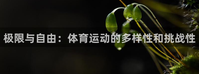 77体育官网：极限与自由：体育运动的多样性和挑战性