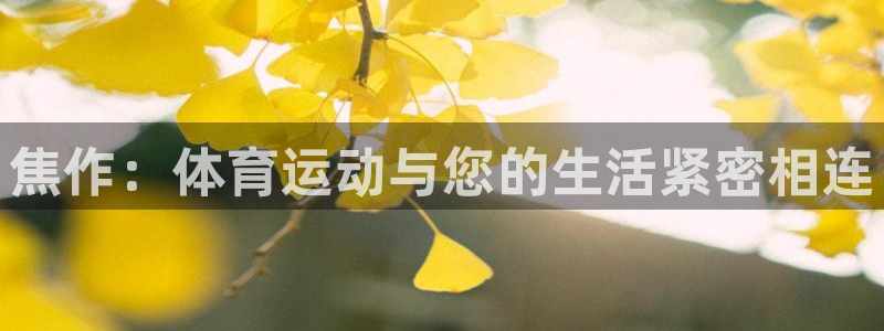 皇冠277体育：焦作：体育运动与您的生活紧密相连