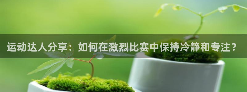 77体育：运动达人分享：如何在激烈比赛中保持冷静和专注？